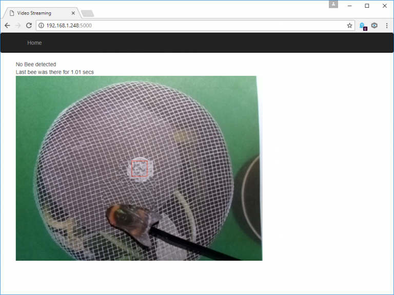 Bee Detection with a Raspberry Pi – Carlos Platoni